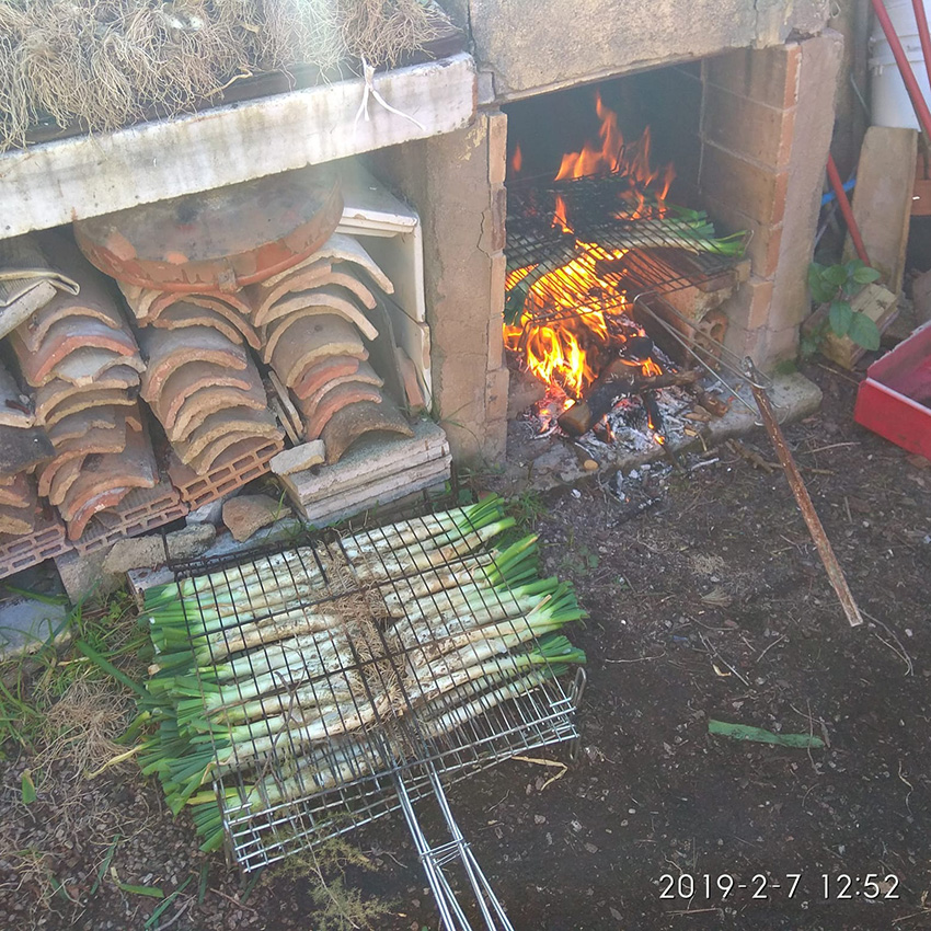 Calçotada 2019 (15)